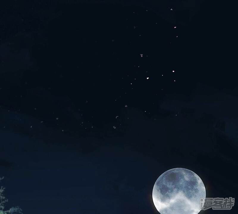《战神狂妃凤倾天下》第252话 悲恸 第67页