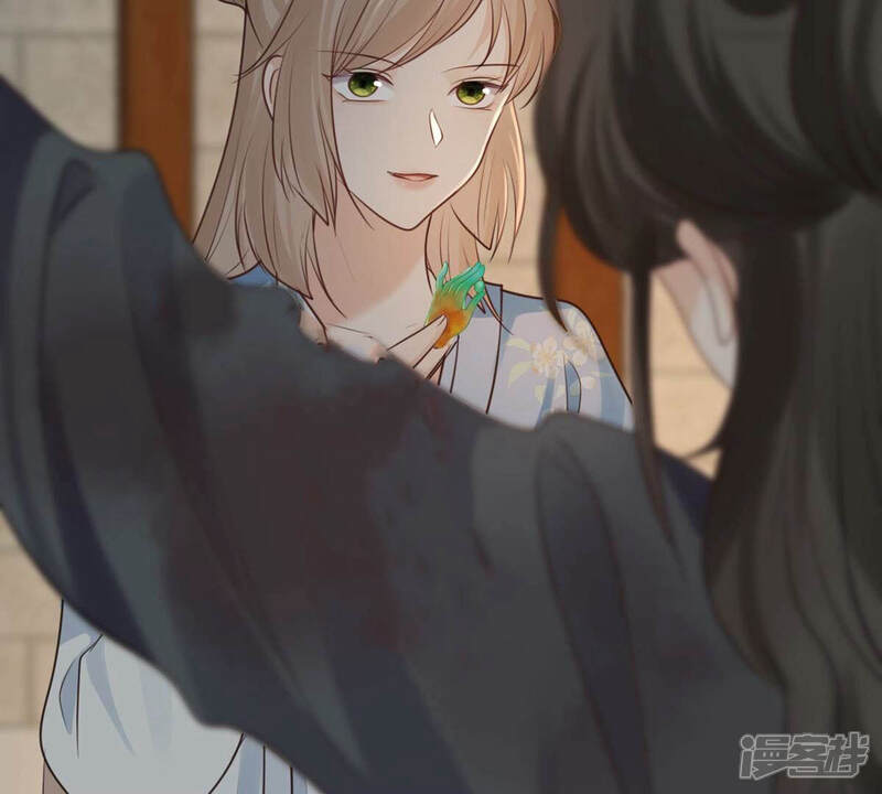 《战神狂妃凤倾天下》第260话 出征南罗 第11页