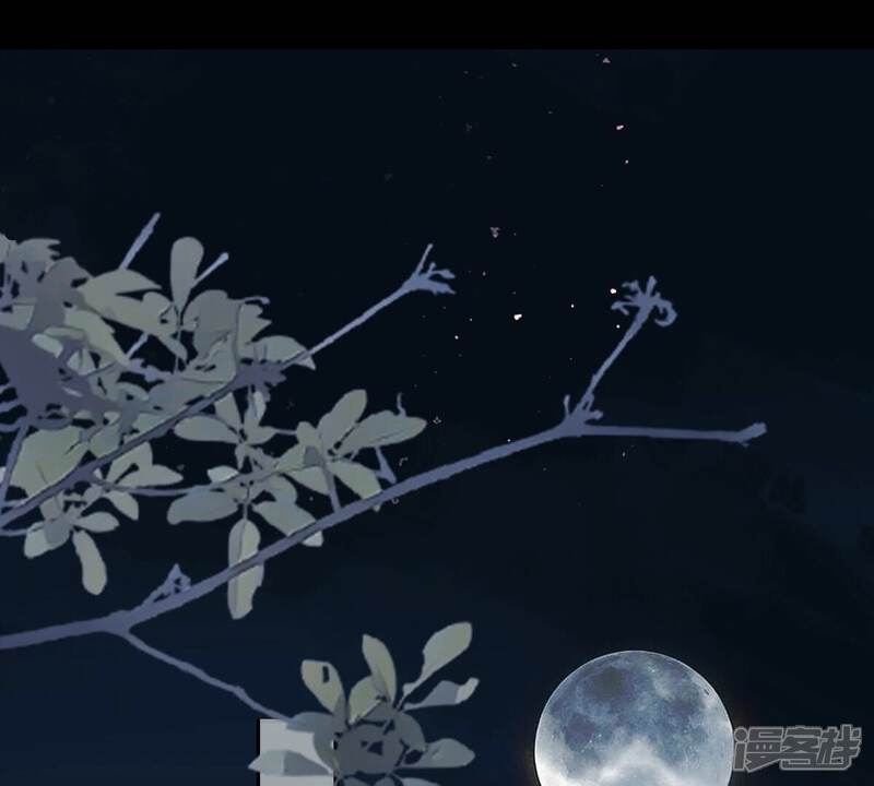 《战神狂妃凤倾天下》第260话 出征南罗 第36页