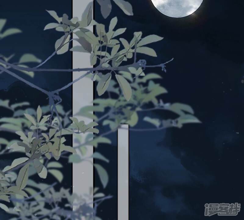 《战神狂妃凤倾天下》第260话 出征南罗 第37页