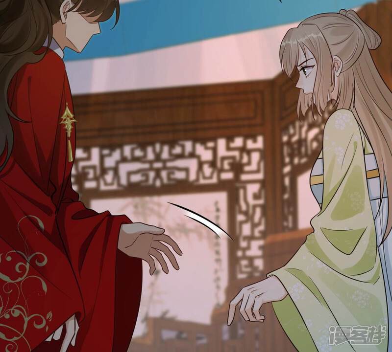 《战神狂妃凤倾天下》第259话 皇上的谋划 第14页