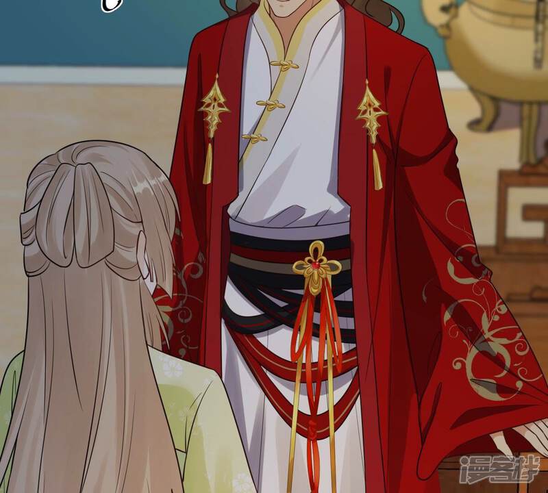 《战神狂妃凤倾天下》第259话 皇上的谋划 第19页