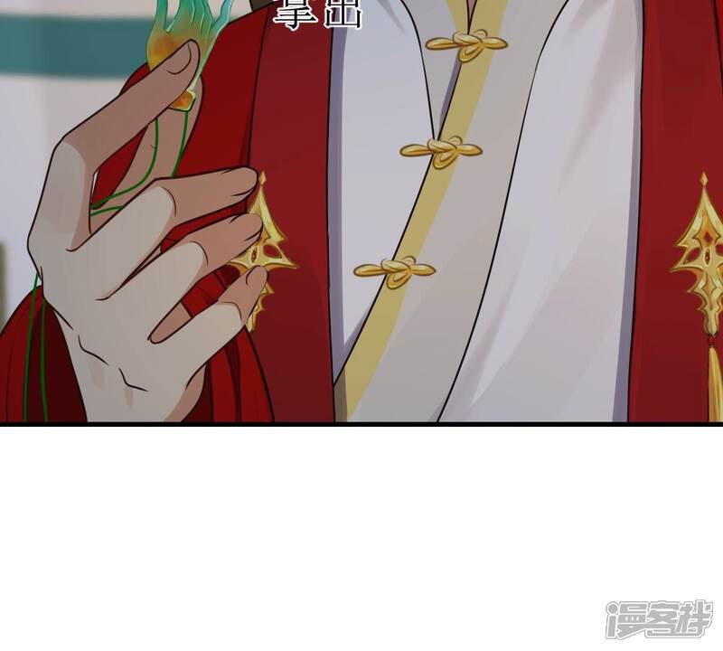 《战神狂妃凤倾天下》第259话 皇上的谋划 第22页