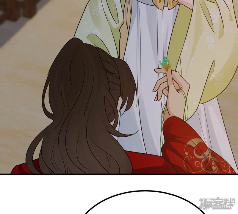 《战神狂妃凤倾天下》第259话 皇上的谋划 第27页