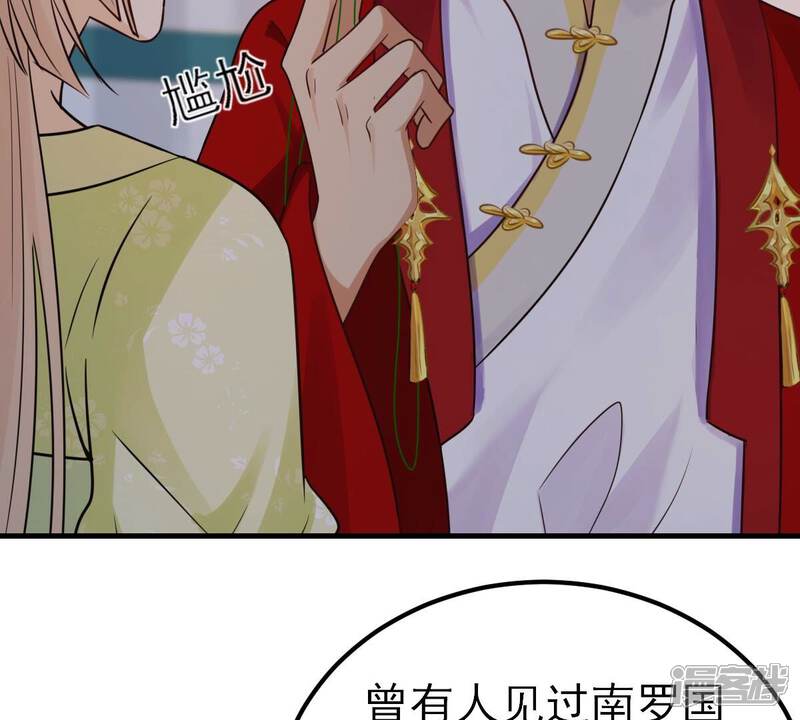 《战神狂妃凤倾天下》第259话 皇上的谋划 第29页
