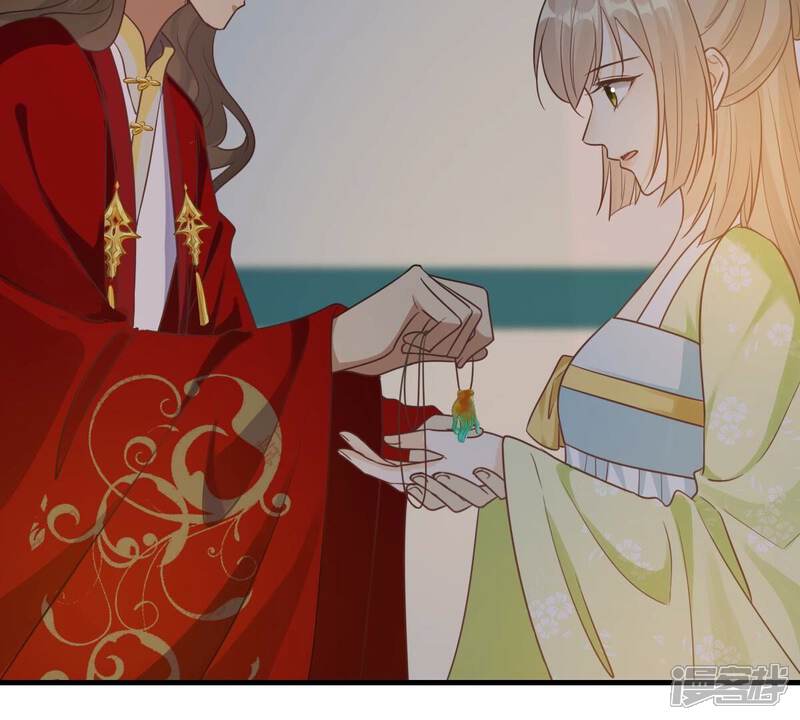 《战神狂妃凤倾天下》第259话 皇上的谋划 第37页