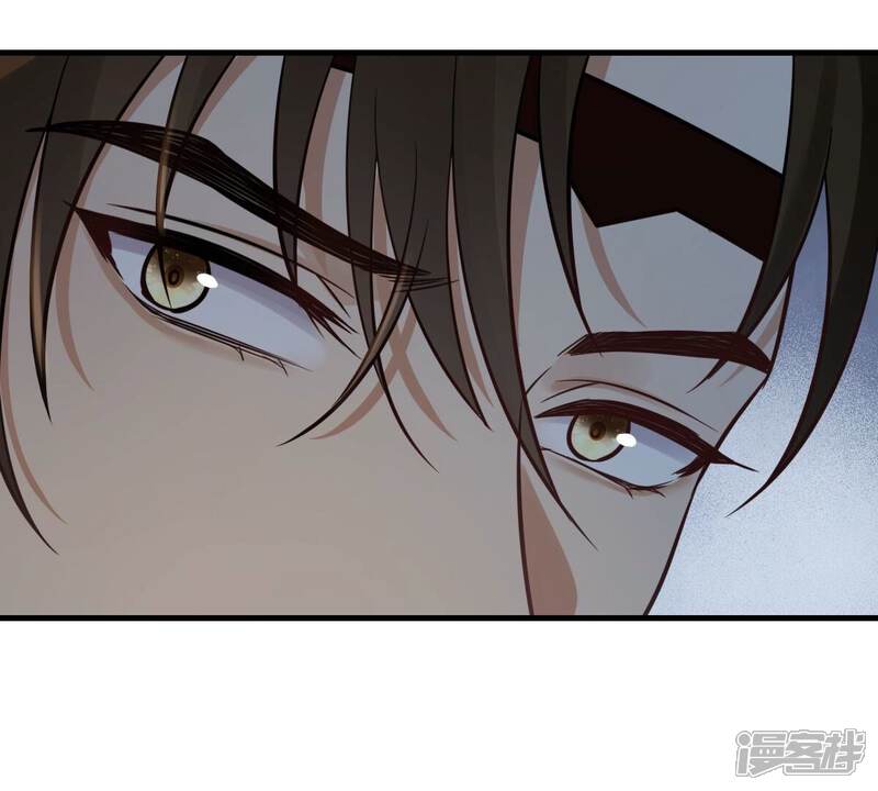 《战神狂妃凤倾天下》第259话 皇上的谋划 第45页