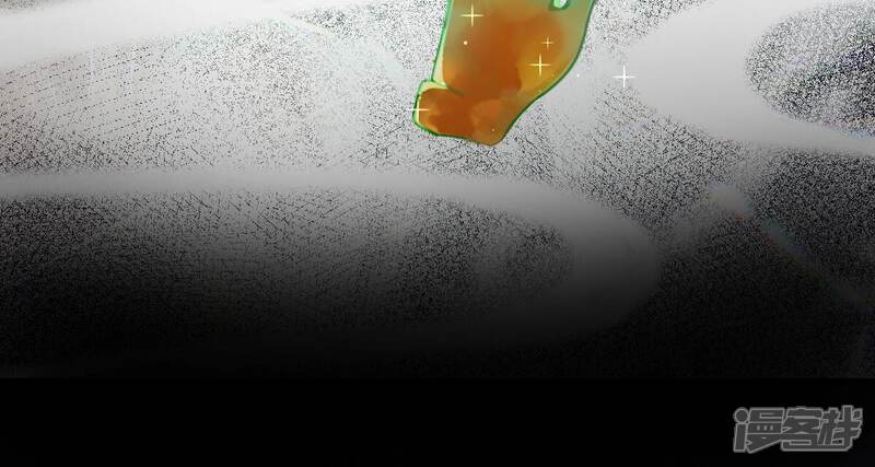 《战神狂妃凤倾天下》第259话 皇上的谋划 第84页