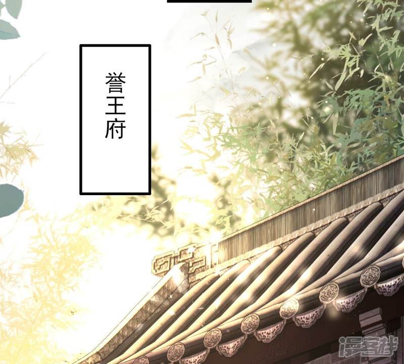 《战神狂妃凤倾天下》最终话 第29页