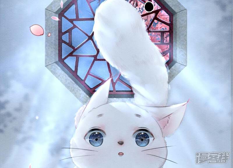 《朝堂有妖气》第5话 猫科动物的领地意识 第153页
