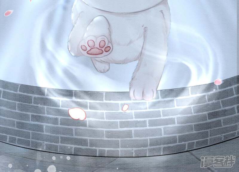 《朝堂有妖气》第5话 猫科动物的领地意识 第154页