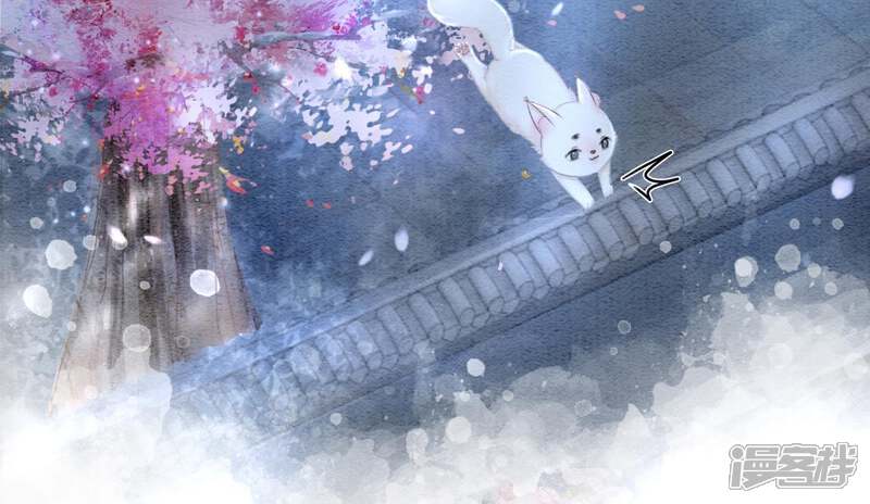 《朝堂有妖气》第6话 猫是鱼的天敌 第13页