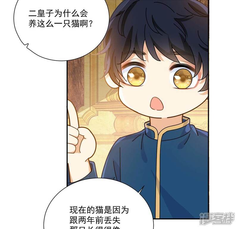 《丧偶皇后》第11话 逗猫棒 第13页