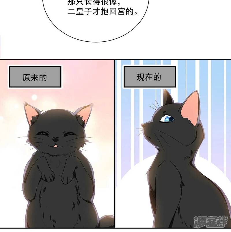 《丧偶皇后》第11话 逗猫棒 第14页