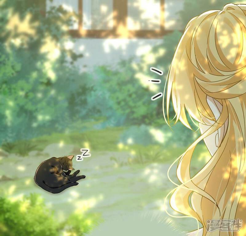 《丧偶皇后》第11话 逗猫棒 第43页