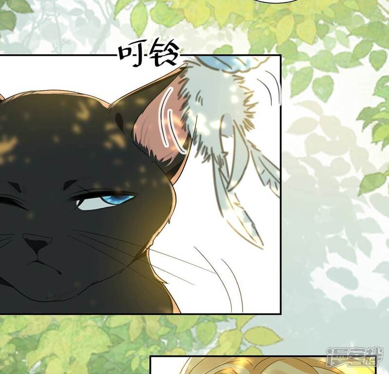 《丧偶皇后》第11话 逗猫棒 第46页