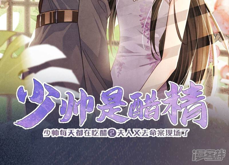 《少帅每天都在吃醋2少帅是醋精》预告 第14页