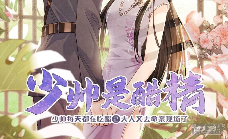 《少帅每天都在吃醋2少帅是醋精》预告 第2页