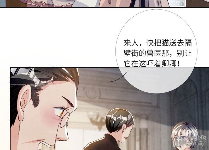 《少帅每天都在吃醋2少帅是醋精》第18话 野猫 第19页