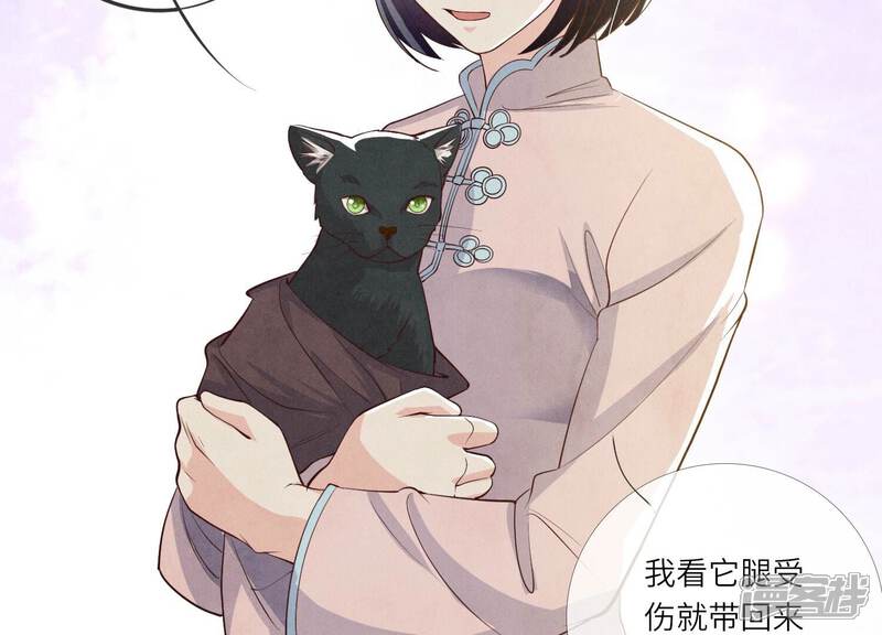 《少帅每天都在吃醋2少帅是醋精》第18话 野猫 第7页