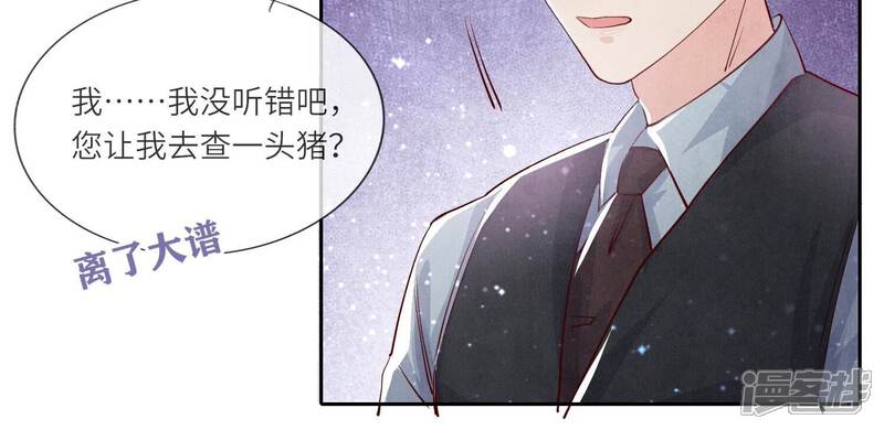 《少帅每天都在吃醋2少帅是醋精》第32话 助手 第41页