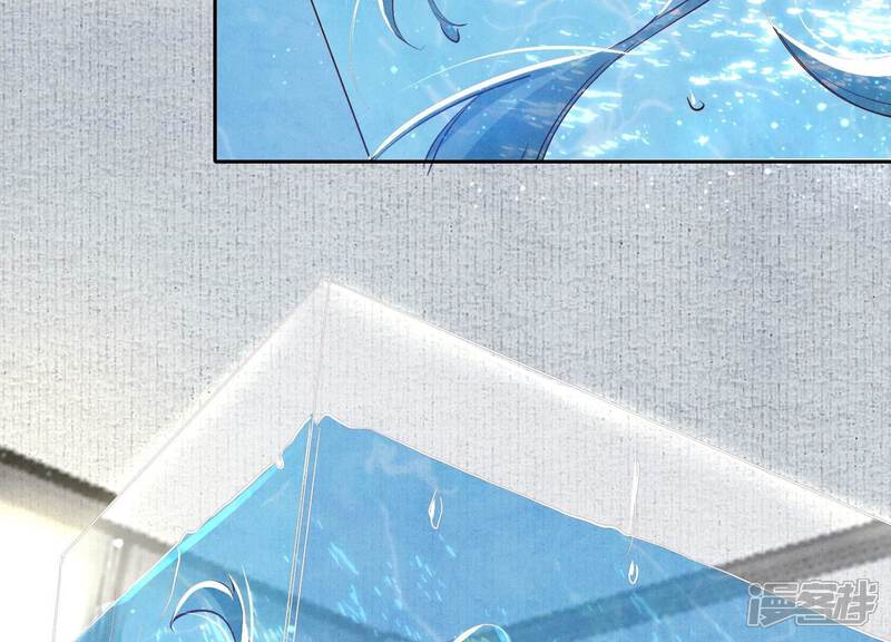 《少帅每天都在吃醋2少帅是醋精》第45话 考虑 第74页