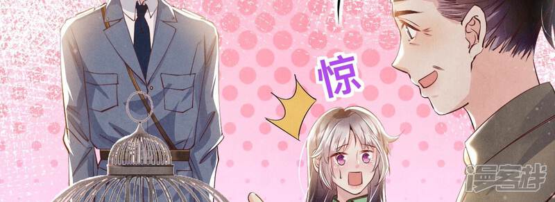 《少帅每天都在吃醋2少帅是醋精》第63话 鹦鹉 第41页