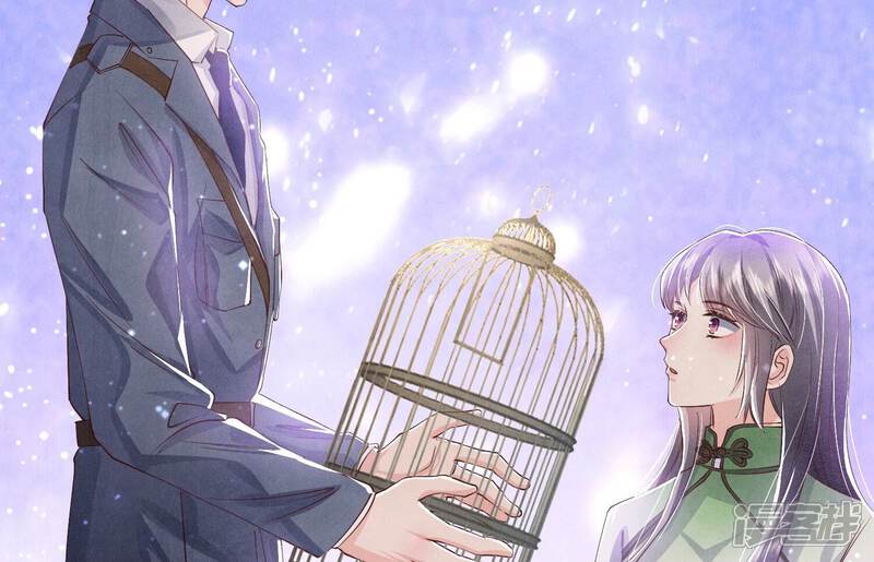 《少帅每天都在吃醋2少帅是醋精》第63话 鹦鹉 第53页