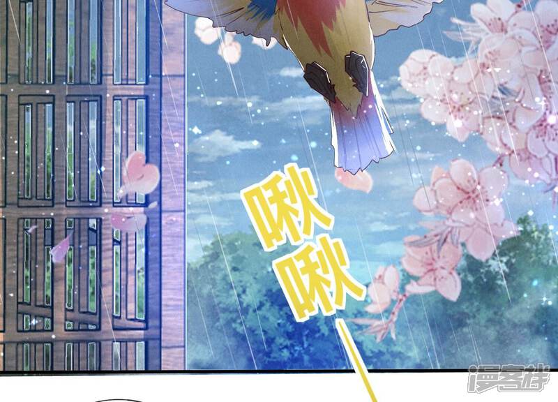 《少帅每天都在吃醋2少帅是醋精》第63话 鹦鹉 第76页