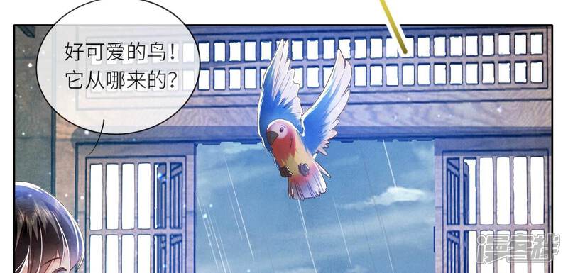 《少帅每天都在吃醋2少帅是醋精》第63话 鹦鹉 第77页