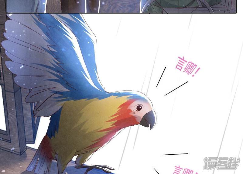 《少帅每天都在吃醋2少帅是醋精》第63话 鹦鹉 第79页