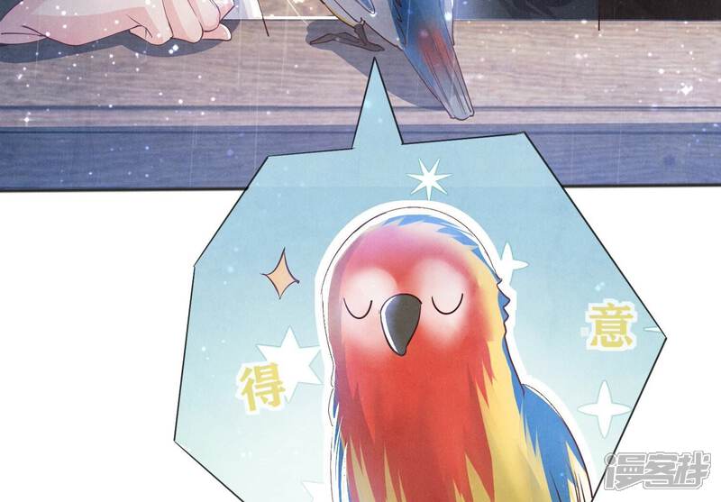 《少帅每天都在吃醋2少帅是醋精》第63话 鹦鹉 第84页