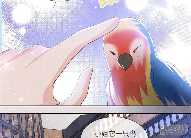 《少帅每天都在吃醋2少帅是醋精》第64话 上街 第11页