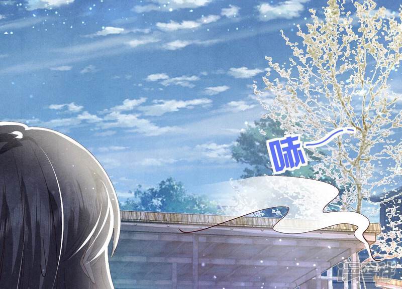 《少帅每天都在吃醋2少帅是醋精》第68话 雾隐村 第174页