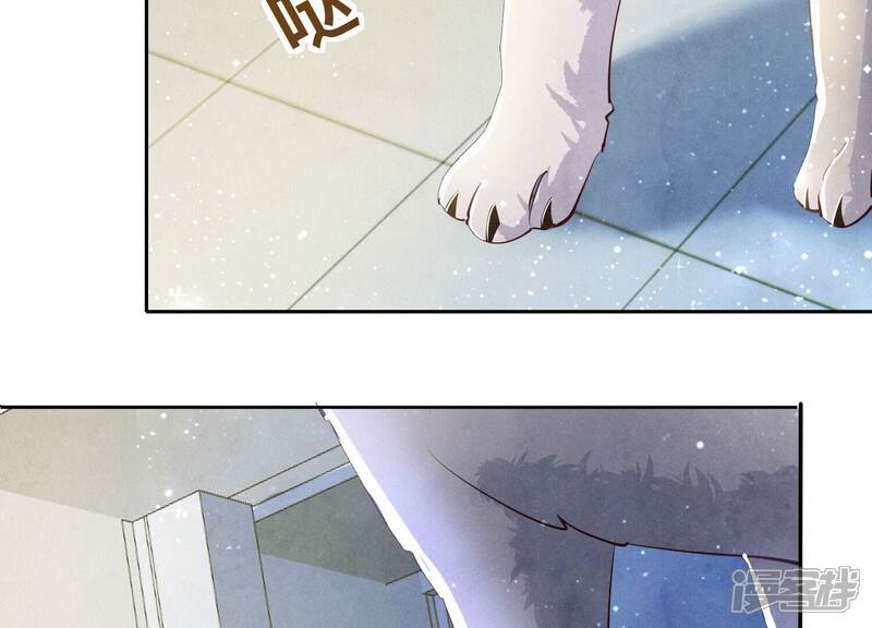 《少帅每天都在吃醋2少帅是醋精》第68话 雾隐村 第98页