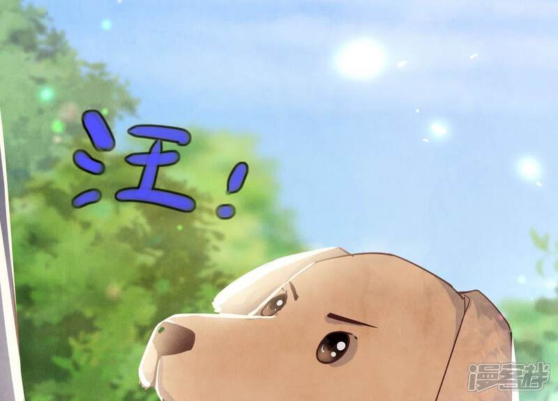 《少帅每天都在吃醋2少帅是醋精》第74话 助攻 第43页