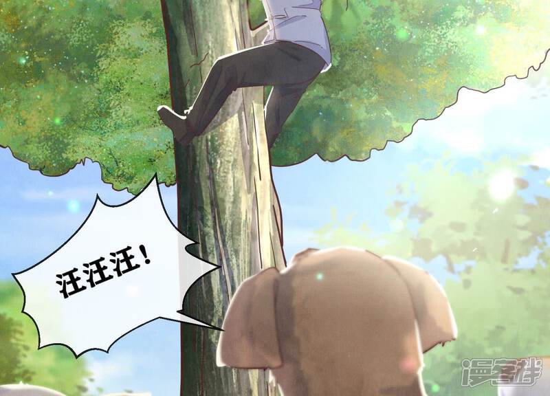 《少帅每天都在吃醋2少帅是醋精》第74话 助攻 第47页