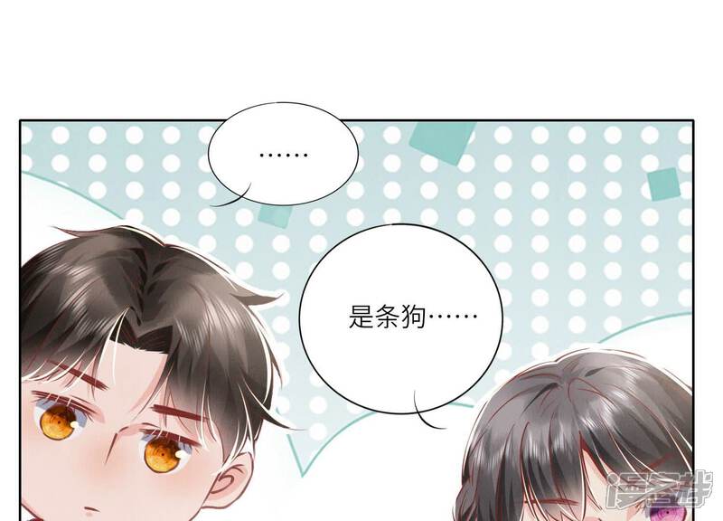 《少帅每天都在吃醋2少帅是醋精》第87话 婚房 第35页
