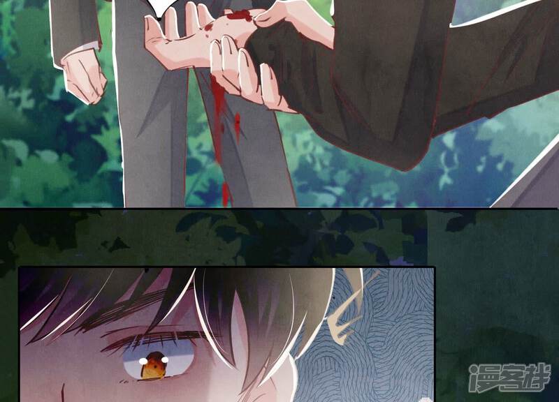 《少帅每天都在吃醋2少帅是醋精》第90话 回家 第48页