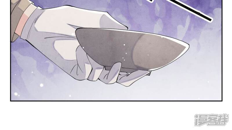 《少帅每天都在吃醋2少帅是醋精》第104话 王牌 第13页