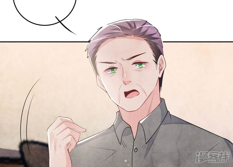 《少帅每天都在吃醋2少帅是醋精》第115话 双胞胎 第29页