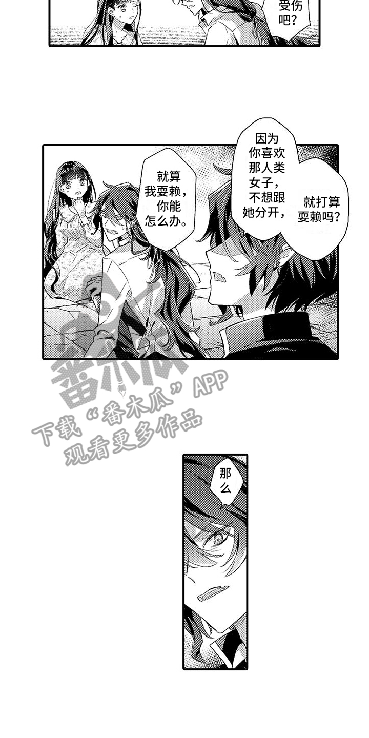 《爱上魔王的路线》第6章魔界来人 第13页