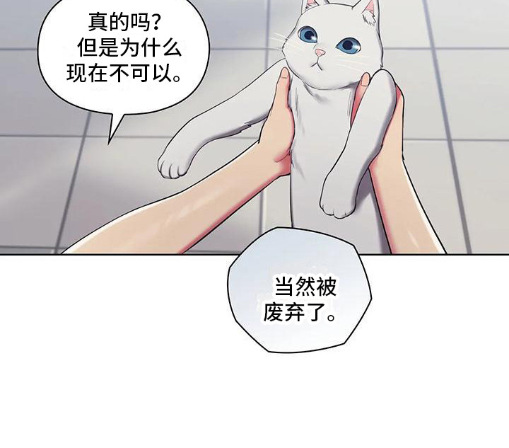 《居家机器人》第3章测试资格 第10页