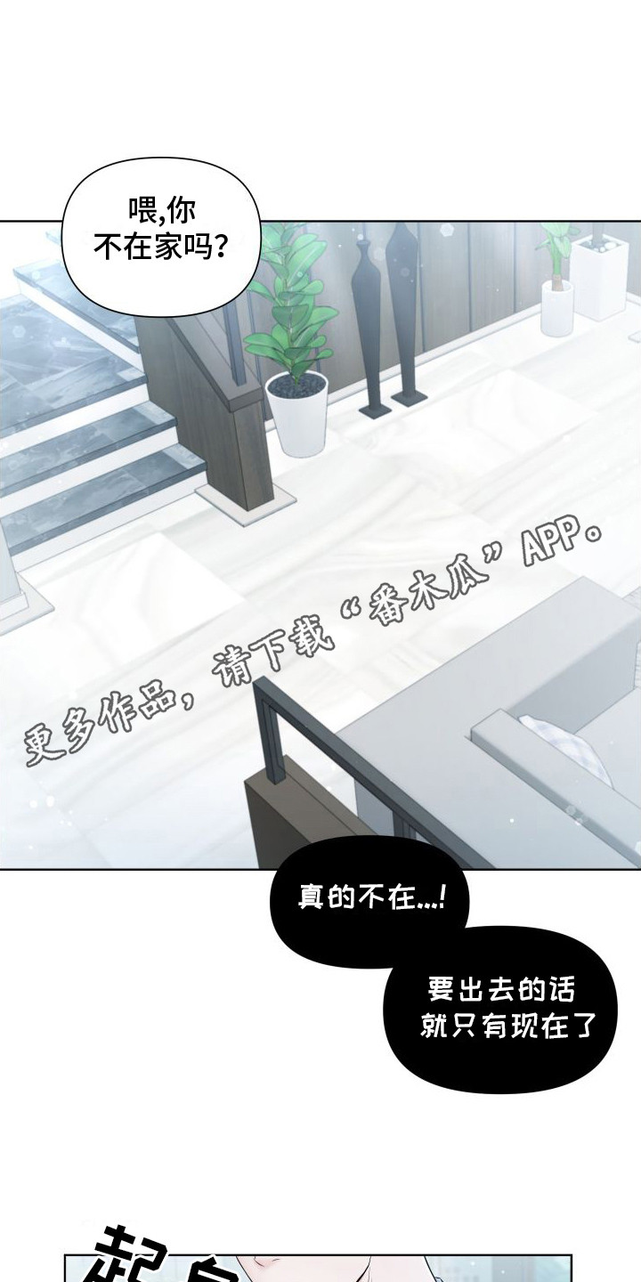 《往事迷案》第5章 眼神 第5页
