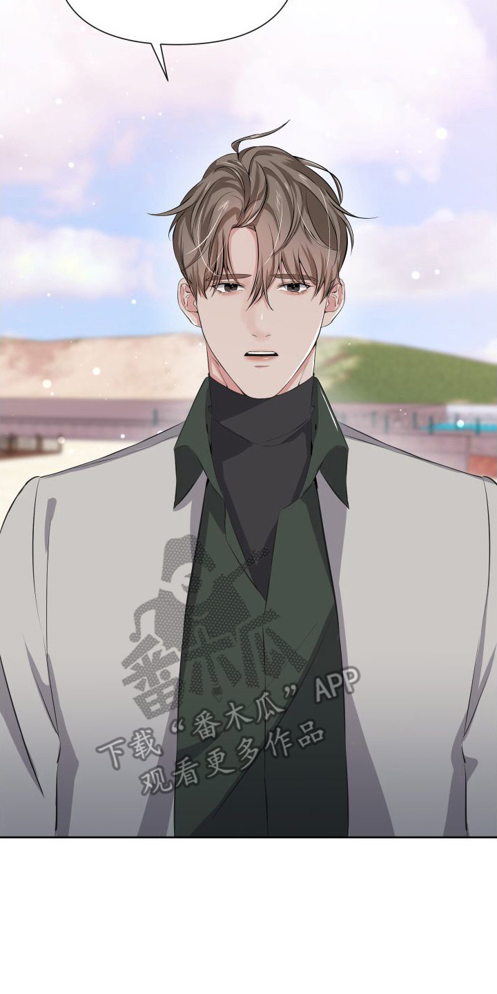 《往事迷案》第8章表白 第17页