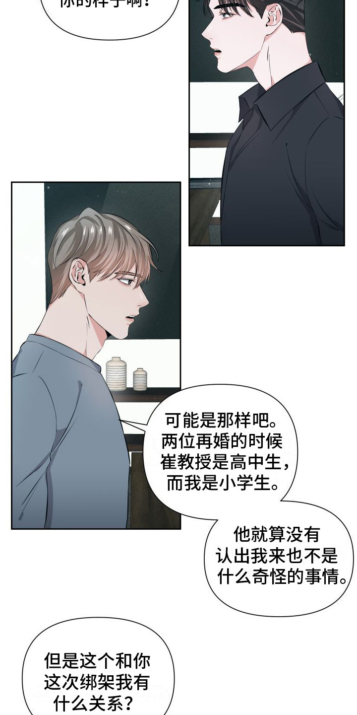 《往事迷案》第12章事实真相 第13页