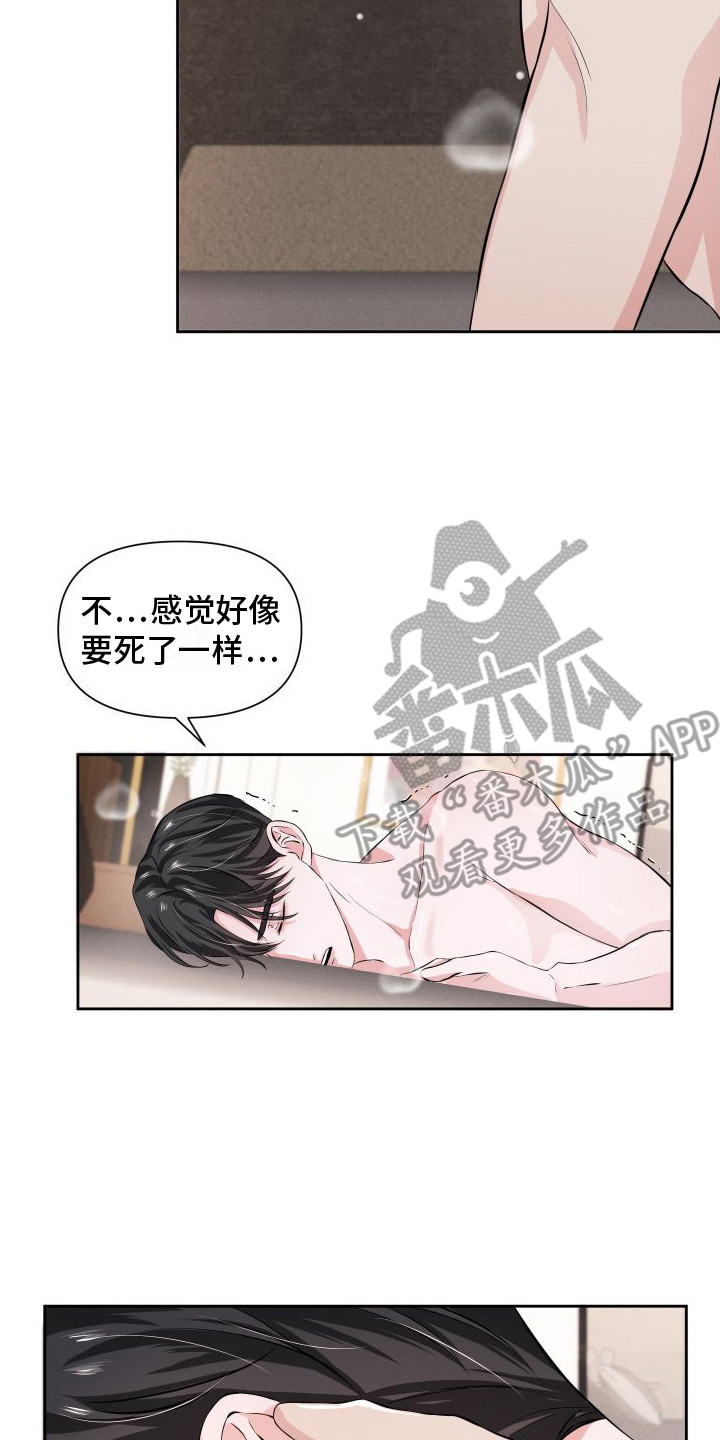 《往事迷案》第11章疲惫 第14页