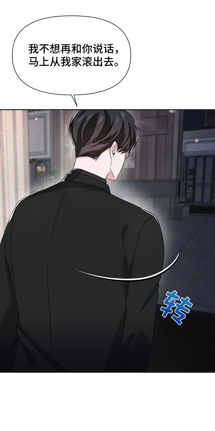 《往事迷案》第17章摊牌 第15页