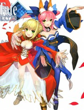 《Fate EXTRA画集》漫画封面图 - tl漫画