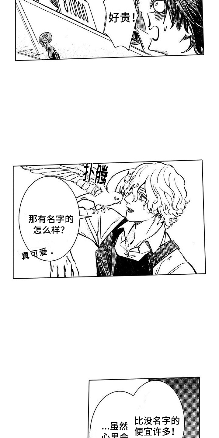 《换个方式爱你》第2章像神一样 第2页